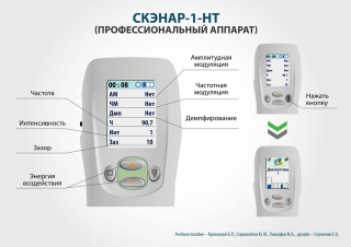 СКЭНАР-1-НТ (исполнение 01)  в Выборге купить Скэнар официальный сайт - denasvertebra.ru 